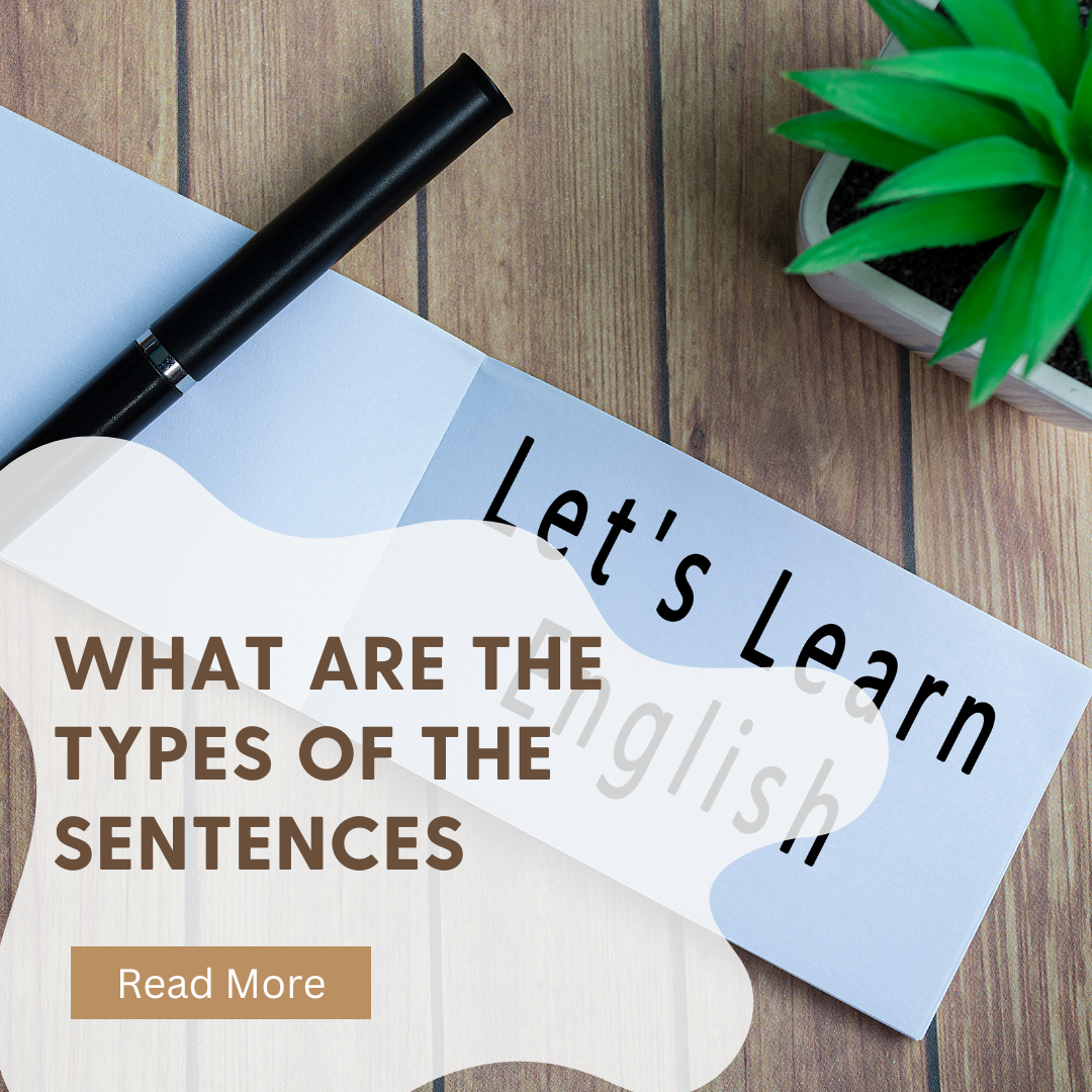 What are the types of sentences