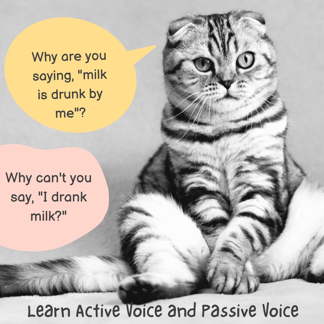 What are active voice and passive voice?