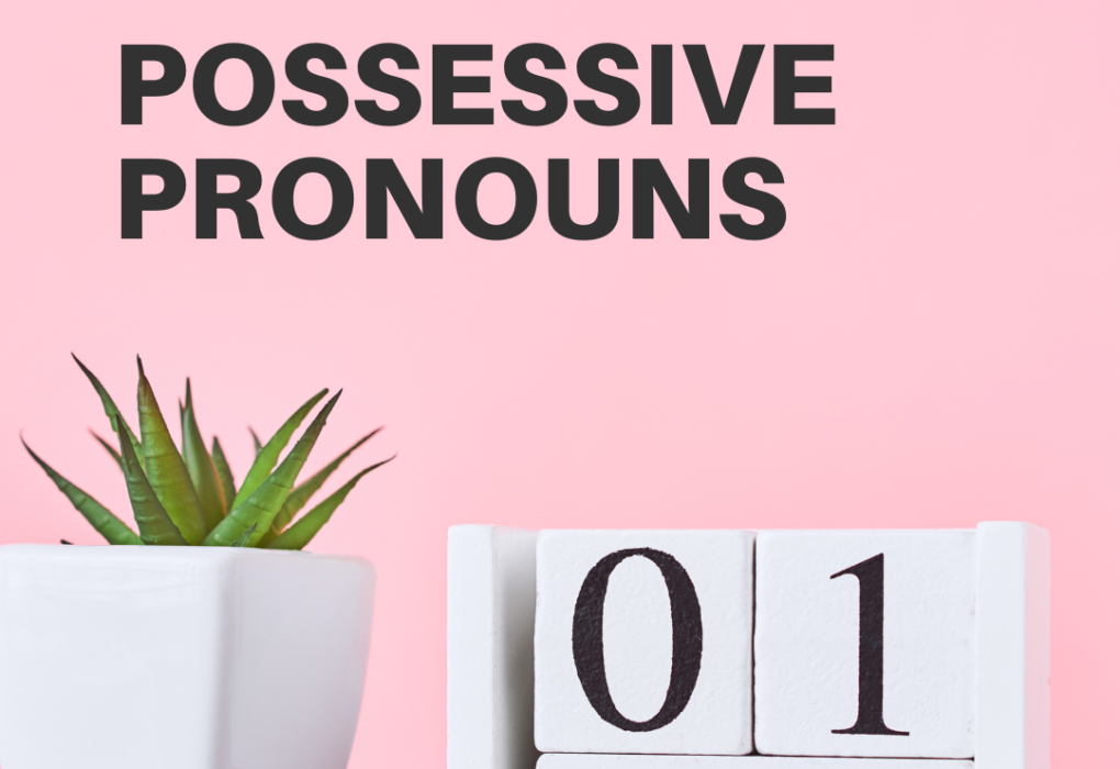 What is a possessive pronoun