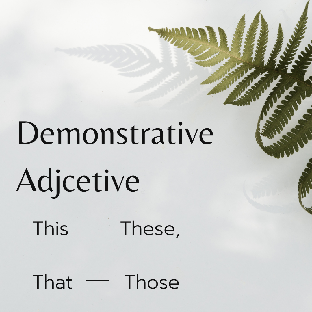 Demonstrative Adjective